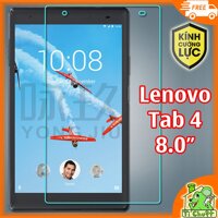 Kính Cường Lực MTB Lenovo Tab 4 8.0 TB-8504