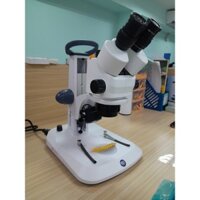 KÍNH HIỂN VI SOI NỔI - EUROMEX - HÀ LAN