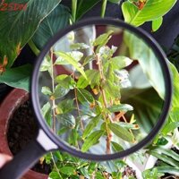 Kính lúp đọc sách ZSDN 3X HD Dụng cụ quang học cầm tay