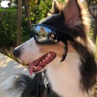 Kính mắt chó FLASHSYNC, Kính râm thú cưng có thể điều chỉnh chống tia cực tím, Bảo vệ mắt chống sương mù dễ thương Kính mắt có thể gập lại cho chó có thể gập lại Kính mắt có thể gập lại Chó lớn