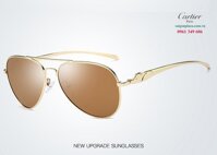 Kính mắt nam cao cấp Cartier 6125203
