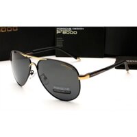 Kính mắt nam cao cấp Porsche Design P8000