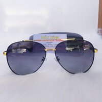 Kính Mát Nam PORSCHE DESIGN KMN1234