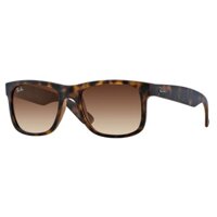 Kính mát RAYBAN RB 4165 710/13 55//145