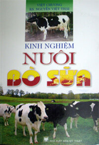 KINH NGHIỆM NUÔI BÒ SỮA