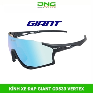 Kính phân cực Giant Vertex GD533