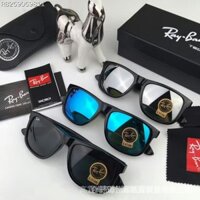 Kính Râm rayban rb4165 100% Pvc3H mfxo