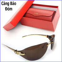 Kính thời trang cao cấp Cartier càng báo đóm - kính râm cartier nam CT01
