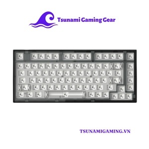 Kit bàn phím cơ FL-Esports Q75