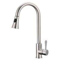 Kitchen faucet lead free carina - cnb169st