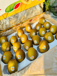 Kiwi vàng hữu cơ Orrganic Zespri size 22 – Kg