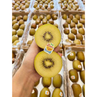 KIWI vàng New Zealand trái ngọt, cứng trái, size to 5-6 trái/kg