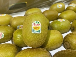 Kiwi vàng New Zealand