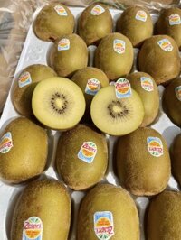 Kiwi vàng New Zealand