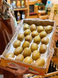 Kiwi vàng New Zealand