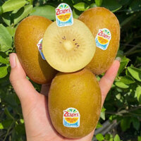 Kiwi vàng Zespri New Zealand
