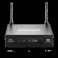 Kiwibox S10