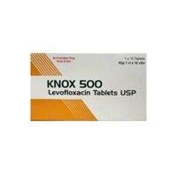 Knox 500mg- levofloxacin-ấn ( hộp/10viên)