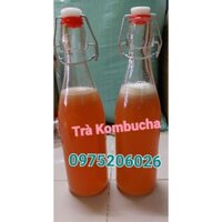 Kombucha Nước Lên Men + con giống Scoby