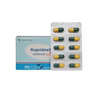 Kopridoxil Cefadroxil 500mg