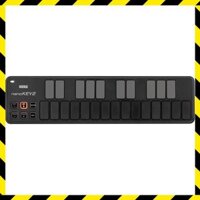 KORG classic USB MIDI controller nanoKONTROL2 BK Black, ideal for music production and DTM with a compact design that is easy to carry. Includes software license for immediate use.