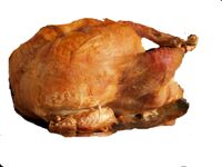 Kosher Cooked Wild Turkey