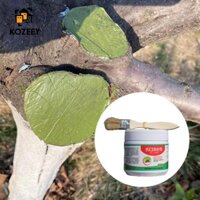 Kozeey Sealer Cây cảnh sửa chữa thuốc mỡ thực vật ghép dán