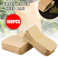 KPL 100 Chiếc Túi Giấy Kraft 6X10Cm Hộp Đựng Hạt Giống Thực Phẩm Trà Bao Bì Mini