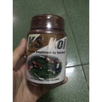 KS koi giảm lở loét ở cá cảnh (sỉ ib)