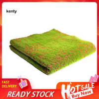 Kt Cỏ Nhân Tạo Có Thể Gập Lại Cỏ Rêu Nhân Tạo Tự Nhiên Đẹp Cho Phòng Khách