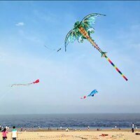 Kupanny Dragon Kite 3D Pterizard Một Dòng Có Đuôi Thể Thao Ngoài Trời Người Lớn Đồ Chơi Trẻ Em