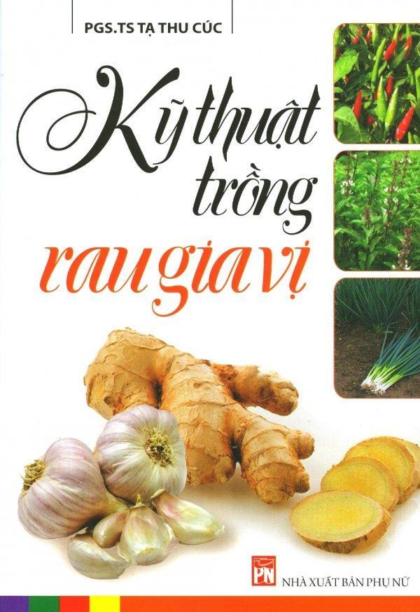 Kỹ Thuật Trồng Rau Gia Vị