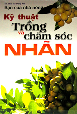 Kỹ thuật trồng và chăm sóc nhãn