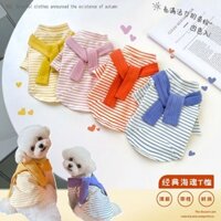 Kz Siêu Bắt MắtÁo Sơ Mi Linh Hồn Biển Sọc ~ Chó Sữa Nhỏ Chó Con Mèo Teddy Bichon Quần Áo