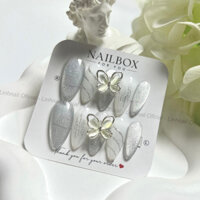 L077 Nail box thiết kế thủ công sơn mắt mèo đính charm bướm bạc