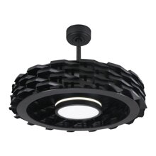 Áo thun Cậu bé gấu chồn ATCP166