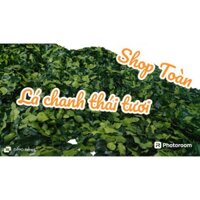 Lá chúc tươi. 1kg. lá chanh thái. hàng tươi mới mỗi ngày