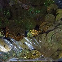 Lá đồng tiền vàng