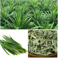 Lá dứa khô (Lá nếp thơm)