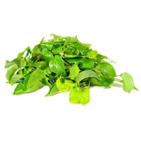 Lá giang hữu cơ 500g