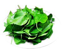 Lá giang
