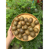 la hán hàng đẹp làm nguyên liệu nấu nước sâm