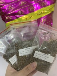 Lá húng tây Basil ( 10g)