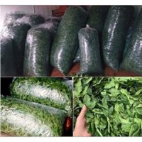 lá mắc mật sấy khô
