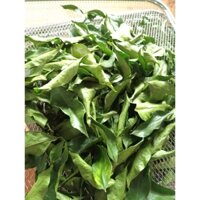 lá mắc mật sấy khô