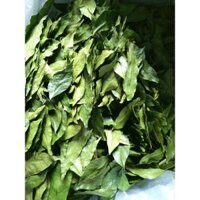lá mắc mật sấy lạnh