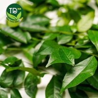Lá Mắc Mật Tươi