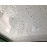 La phông nhựa 60x60 | Thi công HCM, Bình Dương, Đồng Nai