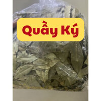 Lá thơm/lá nguyệt quế khô 100gr - 500gr