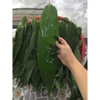 Lá tre tươi gói bánh 1kg ( lá đủ size )